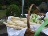 Spargel